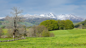 Couvreur Mont-de-Marsan
